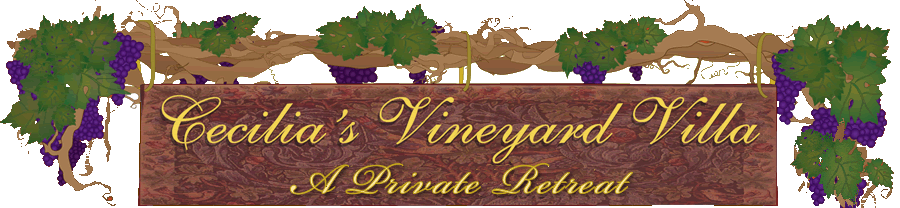 Cecilia's Vineyard Villa vacation rental